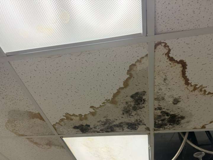 Water-stained ceiling tiles with mold growth
